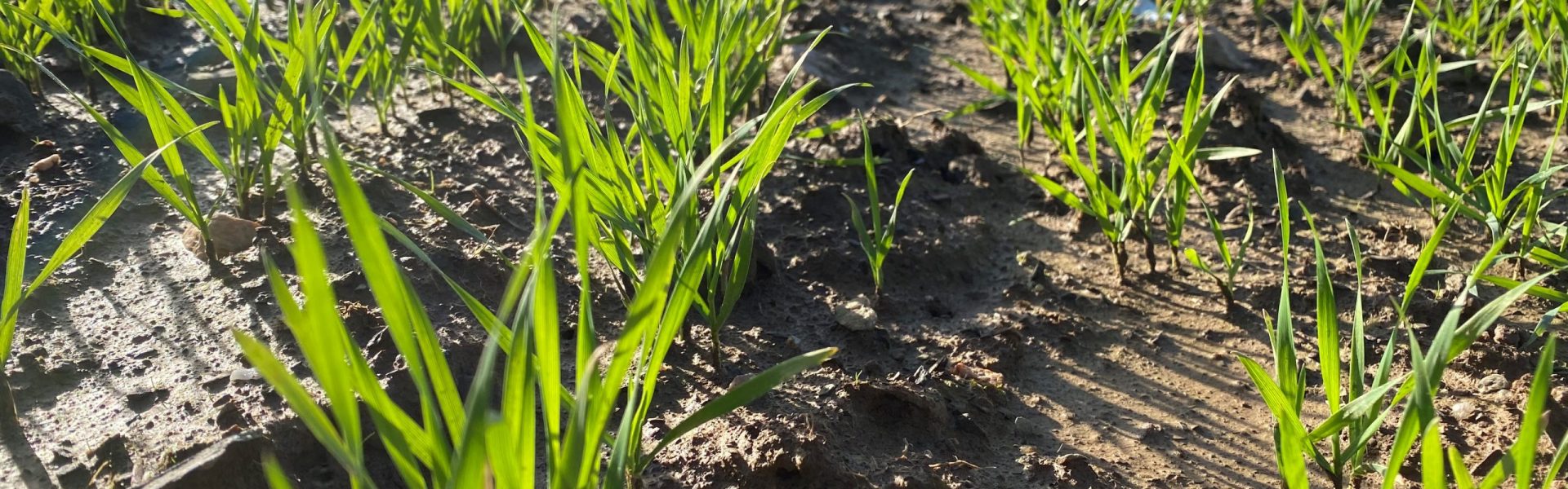 L’équipe TMCE répond à vos questions.