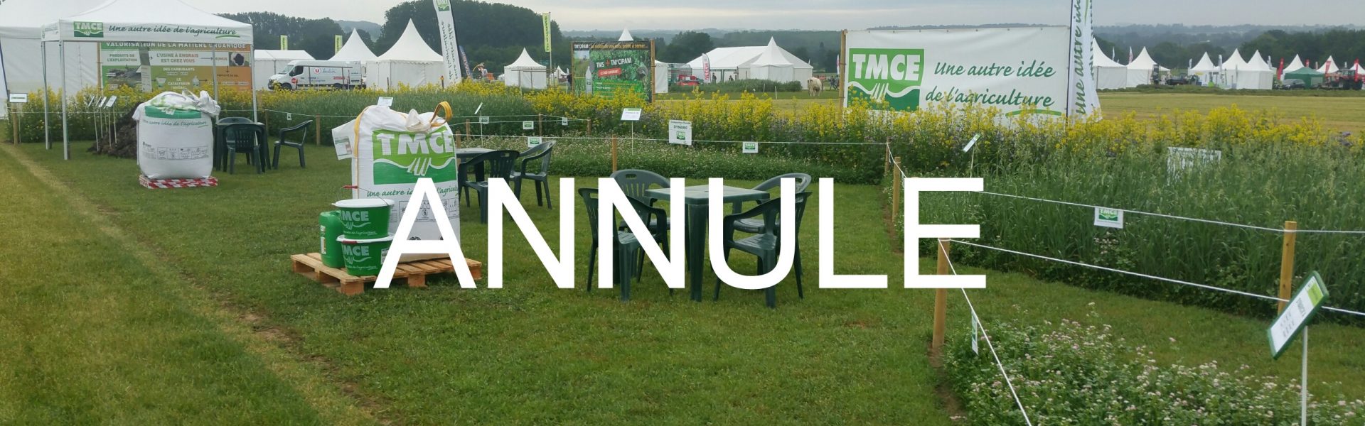 20180531 083401 resized bis