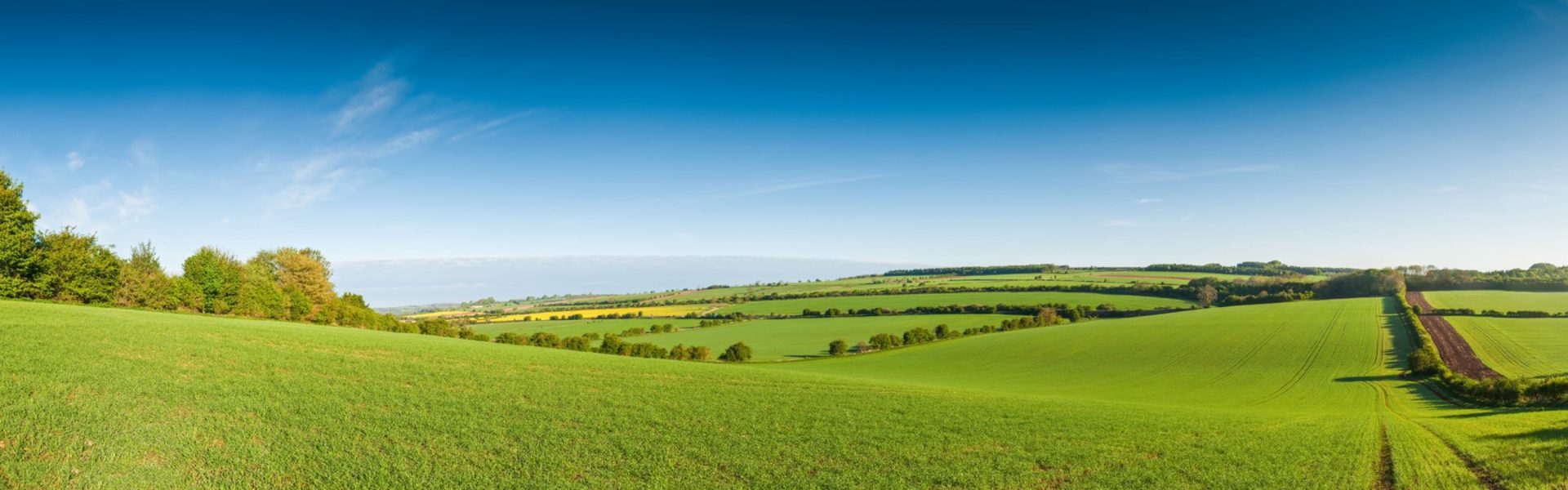 An other idea of agriculture