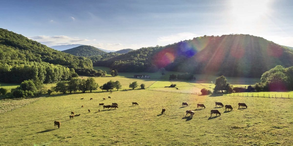 paysage a.lamoureux 1200x675