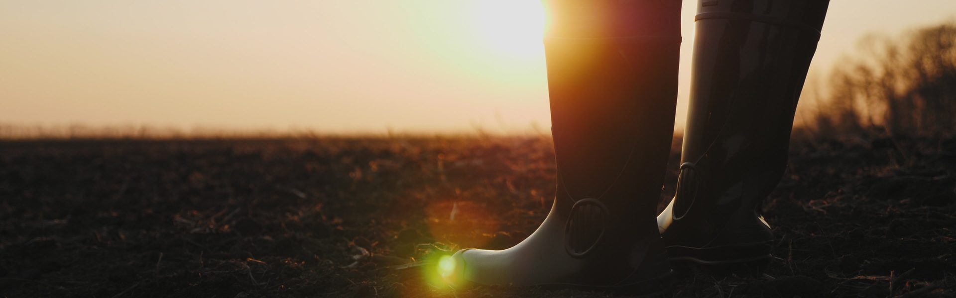 bottes dans un champs