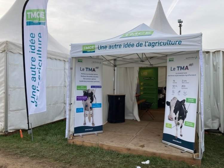 processed 69f43ccb 433f 4e84 b1e0 d03e80fa22df dzkjl0na