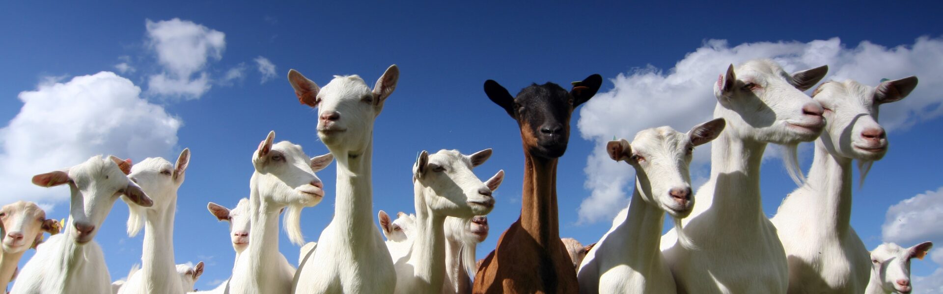 shutterstock 4980502bd