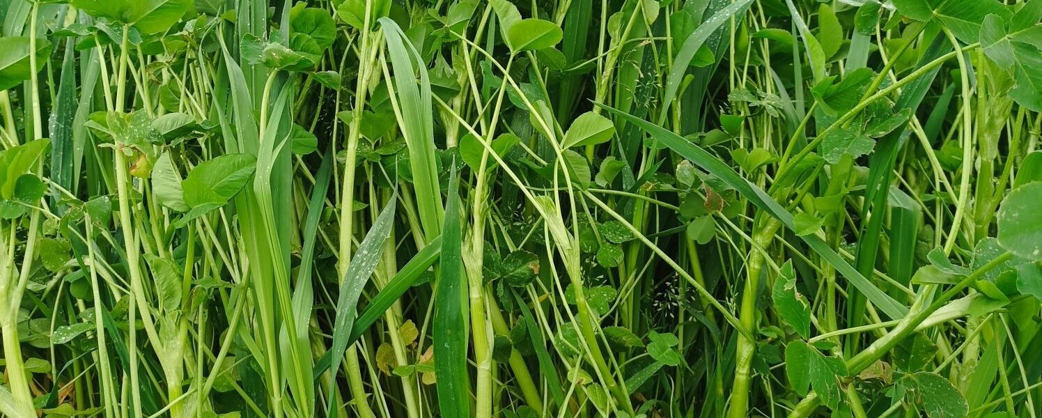 Visite d'exploitation et tours de plaine TMCE