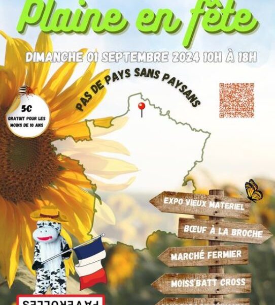 plaine en fete (80)