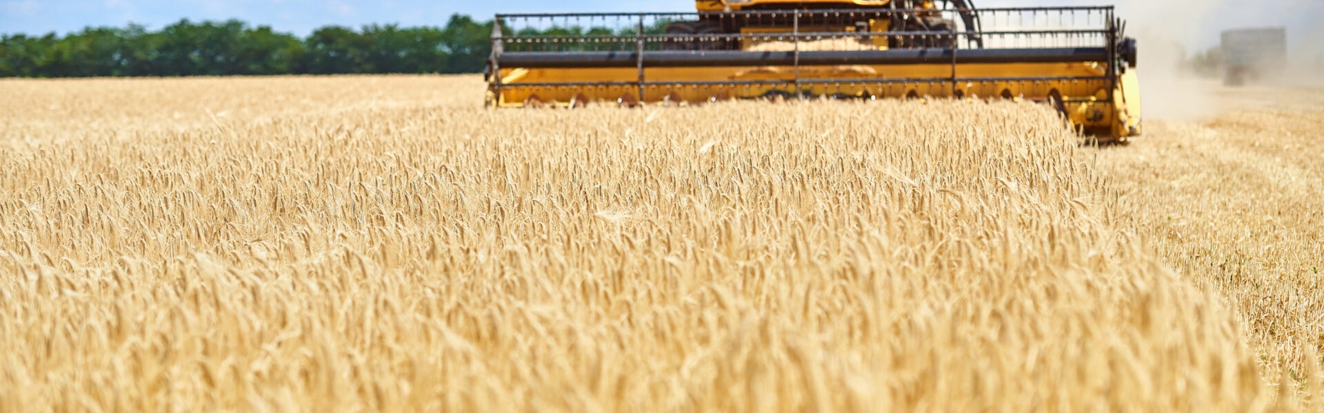 shutterstock 1204110304