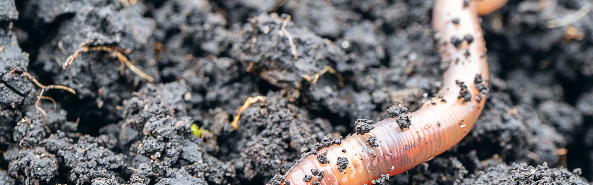 adobestock 216659117