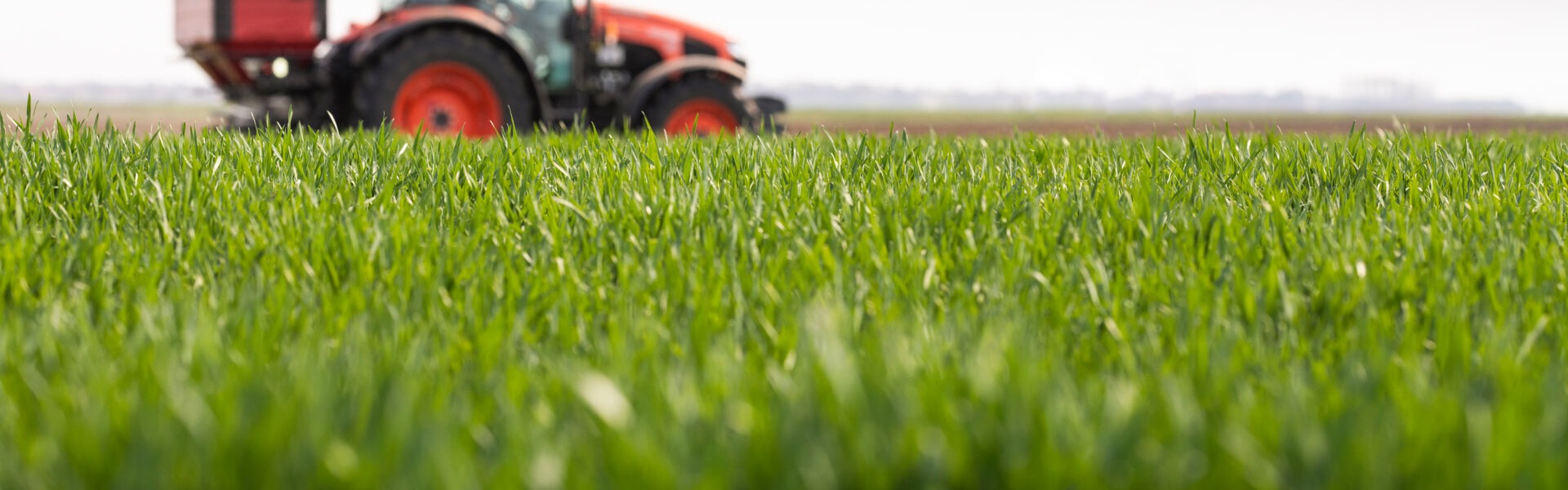 shutterstock 1679034556