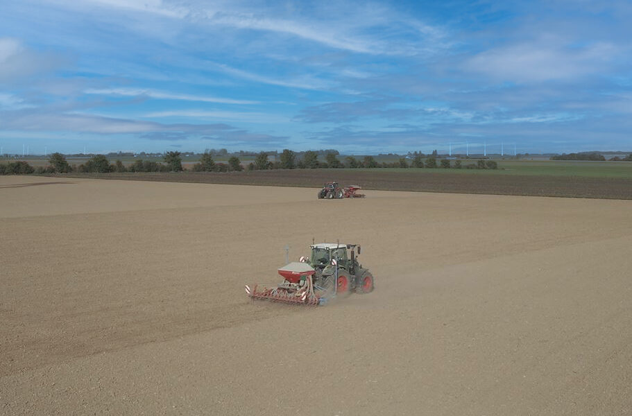 semis ble copie ciel