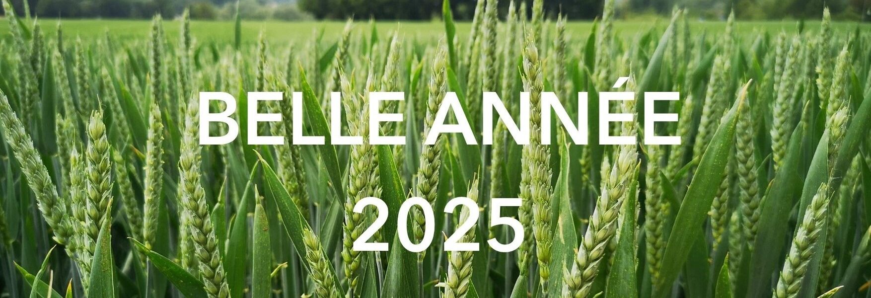 banderole voeux 2025