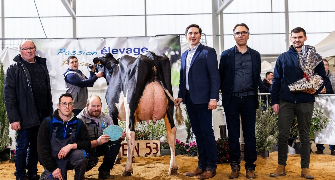 capture d’écran 2025 04 08 095449