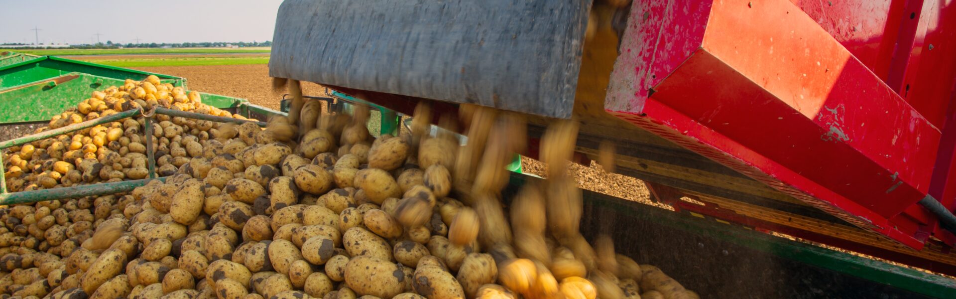 pdt shutterstock 2136011933