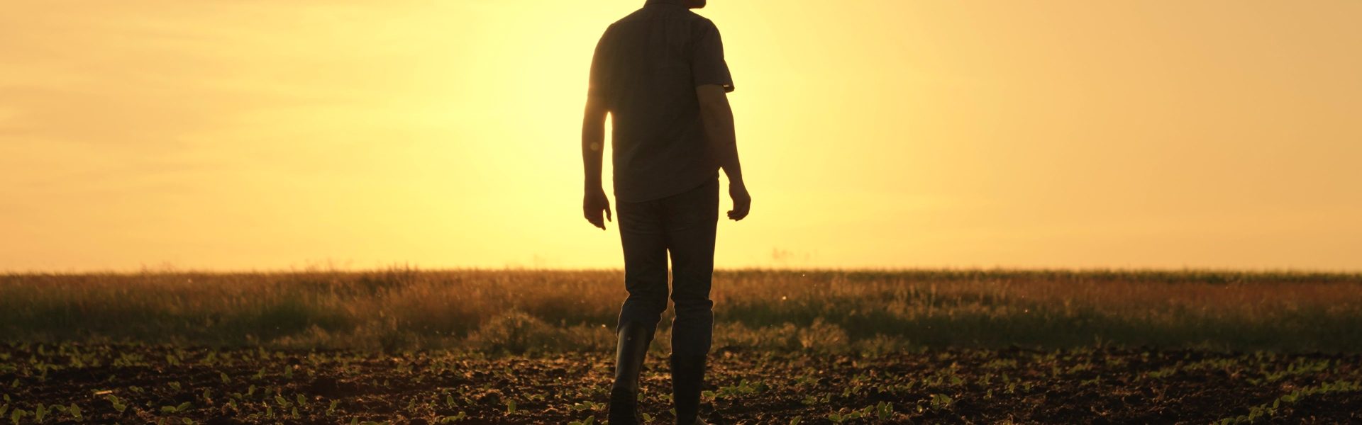 shutterstock 2401811361