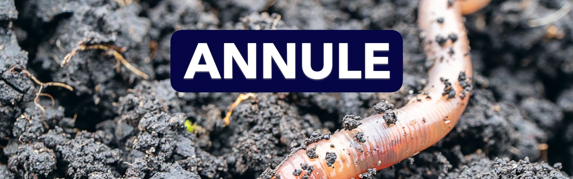 adobestock 216659117